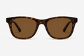 Zelvani Brown Wayfarer Glasses