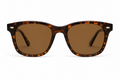 Zelvani Wayfarer Glasses
