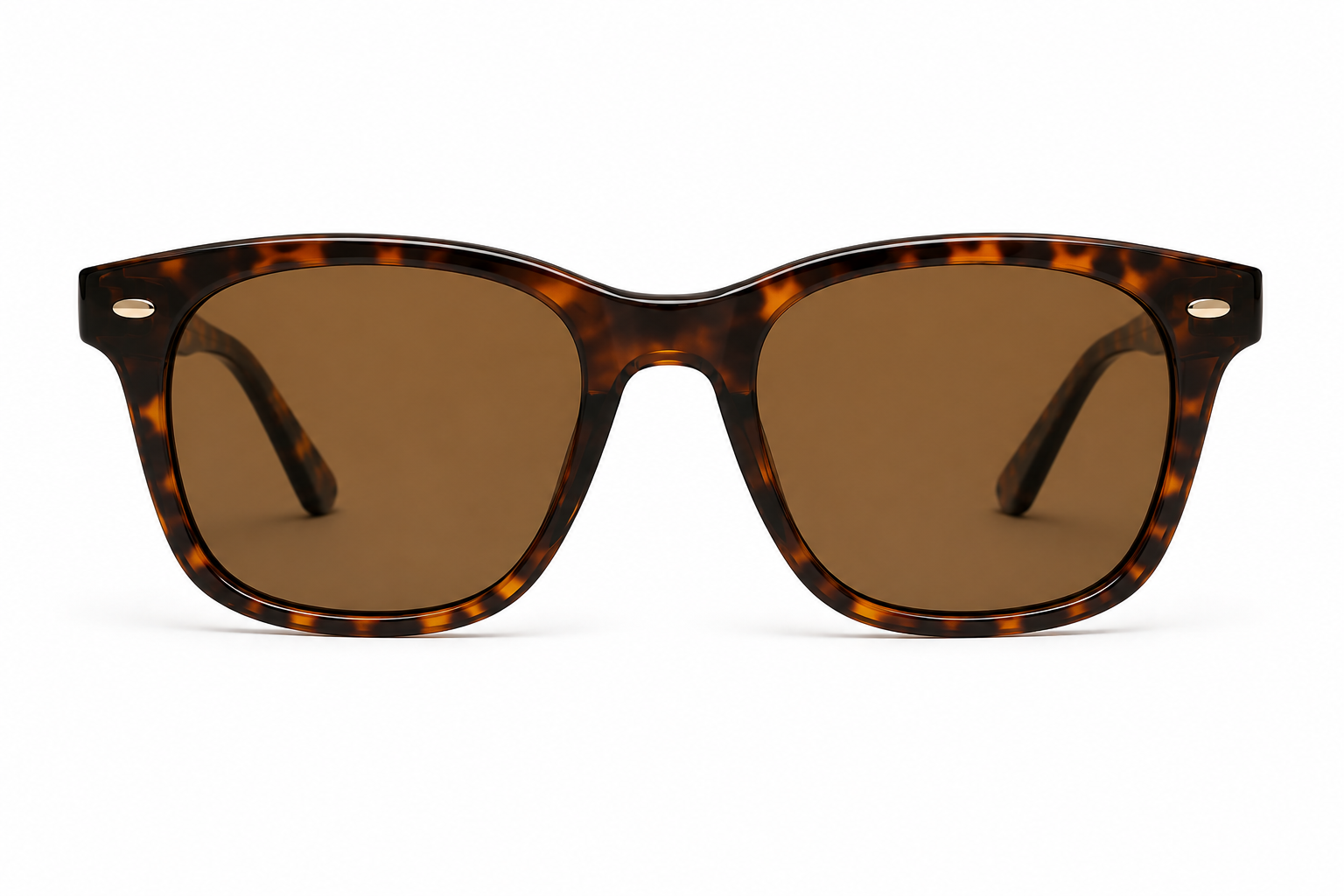 Zelvani Wayfarer Glasses
